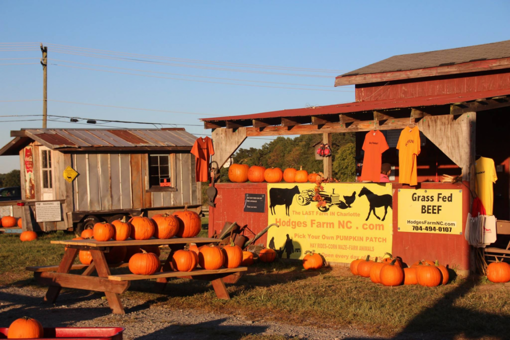 Hodges Family Farm
